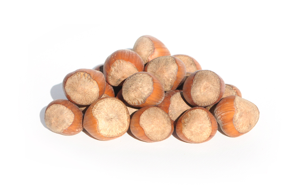 Hazelnut Flavor Extract