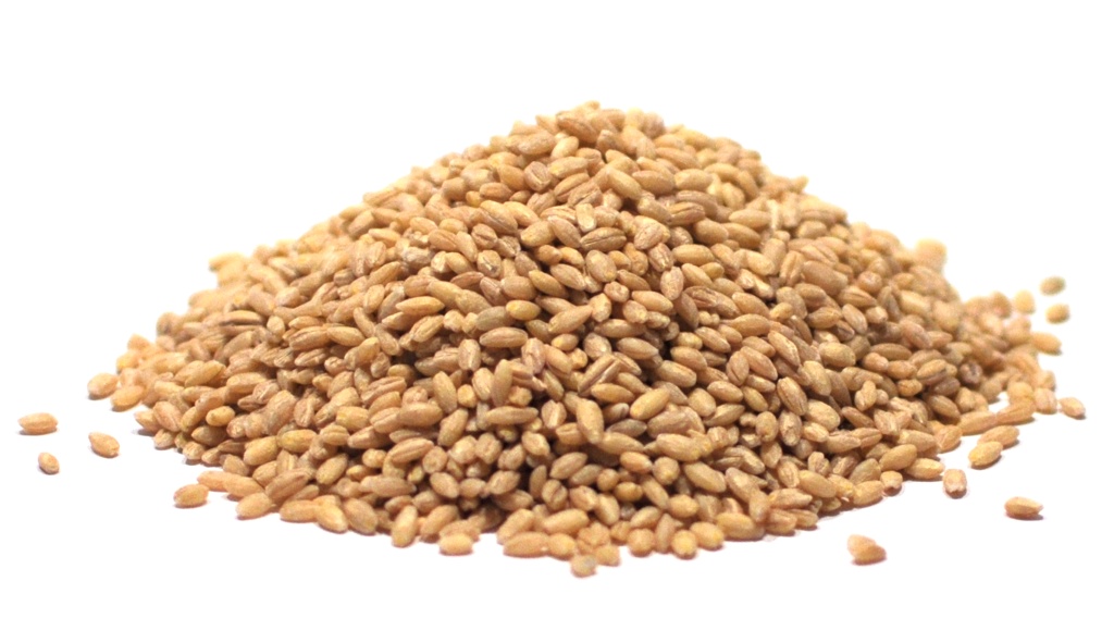 Pearled Barley