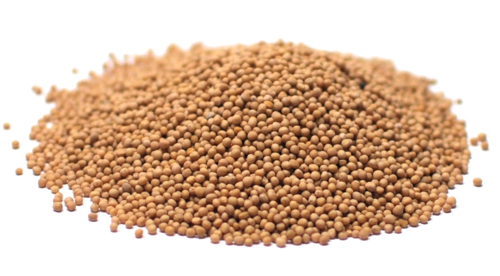 Yellow Mustard Seeds
