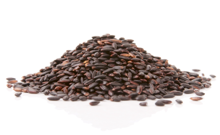 Forbidden Black Rice